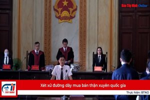 Xét xử đường dây mua bán thận xuyên quốc gia