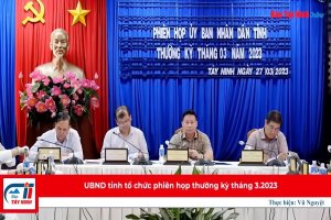 UBND tỉnh tổ chức phiên họp thường kỳ tháng 3.2023