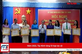 Năm 2022, Tây Ninh tăng 13 hợp tác xã