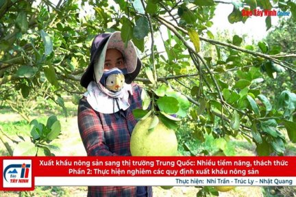 Xuất khẩu nông sản sang thị trường Trung Quốc: Nhiều tiềm năng, thách thức-Bài 2: Thực hiện nghiêm các quy định xuất khẩu nông sản