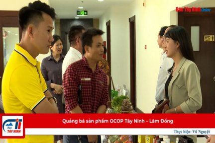 Quảng bá sản phẩm OCOP Tây Ninh – Lâm Đồng