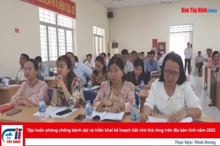 Tập huấn phòng chống bệnh dại và triển khai kế hoạch bắt chó thả rông trên địa bàn tỉnh năm 2023