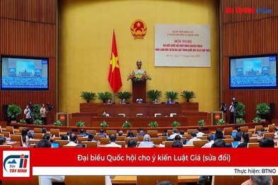 Đại biểu Quốc hội cho ý kiến Luật Giá (sửa đổi)