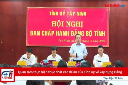 Quan tâm thực hiện thực chất các đề án của Tỉnh uỷ về xây dựng Đảng