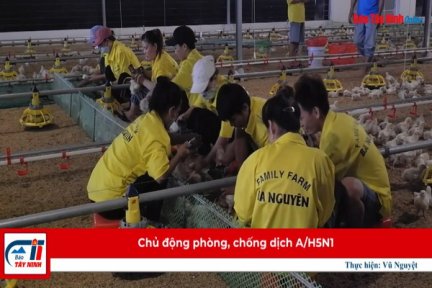 Chủ động phòng, chống dịch A/H5N1