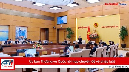 Ủy ban Thường vụ Quốc hội họp chuyên đề về pháp luật