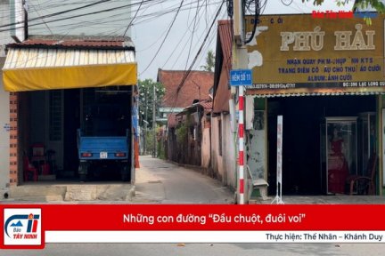Những con đường “Đầu chuột, đuôi voi”