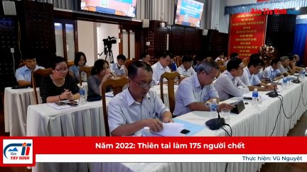 Năm 2022: Thiên tai làm 175 người chết