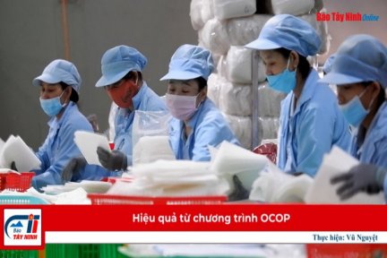 Hiệu quả từ chương trình OCOP