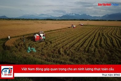 Việt Nam đóng góp quan trọng cho an ninh lương thực toàn cầu