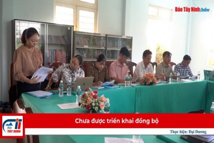 Chưa được triển khai đồng bộ