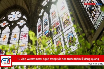 Tu viện Westminster ngập trong sắc hoa trước thềm lễ đăng quang