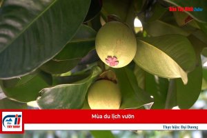 Mùa du lịch vườn
