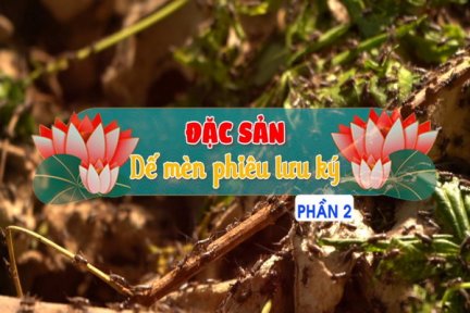 Đặc sản dế mèn phiêu lưu ký-Phần 2