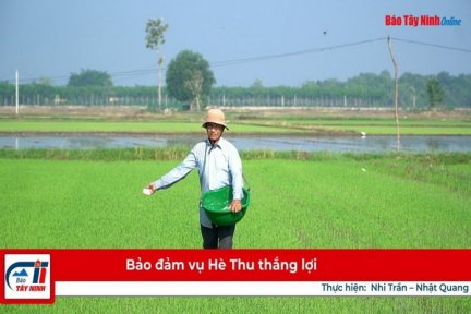 Bảo đảm vụ Hè Thu thắng lợi