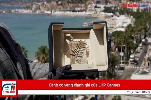 Cành cọ vàng danh giá của LHP Cannes