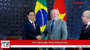 Thủ tướng gặp Tổng thống Brazil