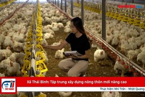 Xã Thái Bình: Tập trung xây dựng nông thôn mới nâng cao