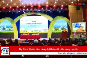 Tây Ninh: Nhiều tiềm năng, lợi thế phát triển nông nghiệp