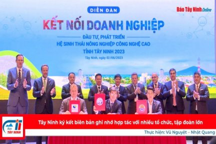 Tây Ninh ký kết biên bản ghi nhớ hợp tác với nhiều tổ chức, tập đoàn lớn