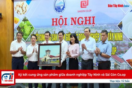 Ký kết cung ứng sản phẩm giữa doanh nghiệp Tây Ninh và Sài Gòn Co.op