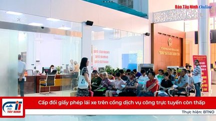 Cấp đổi giấy phép lái xe trên cổng dịch vụ công trực tuyến còn thấp