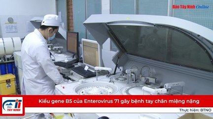 Kiểu gene B5 của Enterovirus 71 gây bệnh tay chân miệng nặng