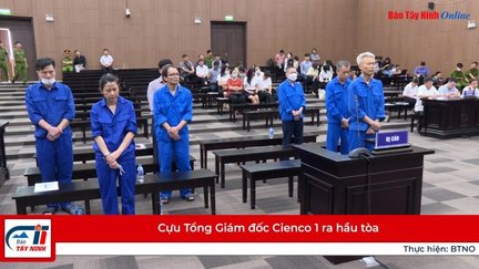 Cựu Tổng Giám đốc Cienco 1 ra hầu tòa