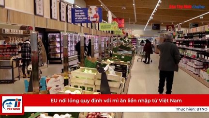 EU nới lỏng quy định với mì ăn liền nhập từ Việt Nam