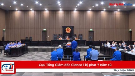 Cựu Tổng Giám đốc Cienco 1 bị phạt 7 năm tù