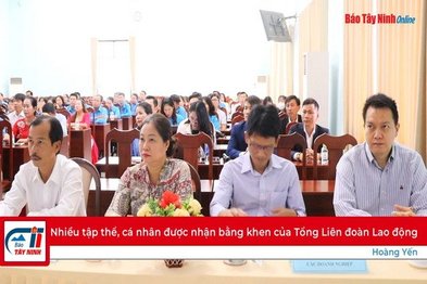 Nhiều tập thể, cá nhân được nhận bằng khen của Tổng Liên đoàn Lao động