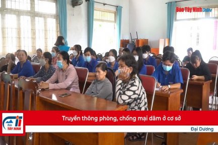 Truyền thông phòng, chống mại dâm ở cơ sở