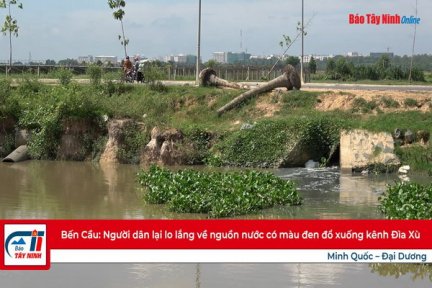 Bến Cầu: Người dân lại lo lắng về nguồn nước có màu đen đổ xuống kênh Đìa Xù