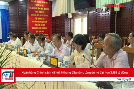 Ngân hàng Chính sách xã hội: 6 tháng đầu năm, tổng dư nợ đạt hơn 3.555 tỷ đồng