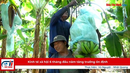 Kinh tế xã hội 6 tháng đầu năm tăng trưởng ổn định