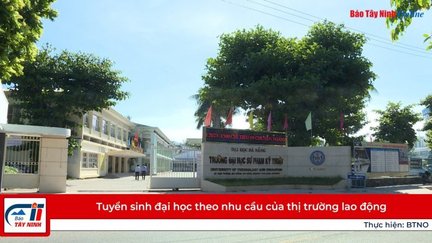 Tuyển sinh đại học theo nhu cầu của thị trường lao động