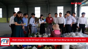 Đoàn công tác của Bộ Kế hoạch và Đầu tư: Khảo sát hoạt động hợp tác xã tại Tây Ninh