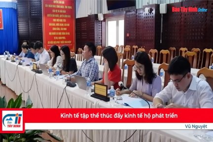 Kinh tế tập thể thúc đẩy kinh tế hộ phát triển