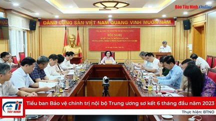 Tiểu ban Bảo vệ chính trị nội bộ Trung ương sơ kết 6 tháng đầu năm 2023