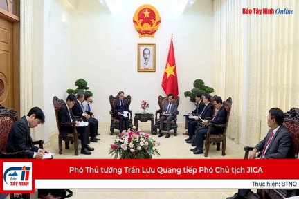 Phó Thủ tướng Trần Lưu Quang tiếp Phó Chủ tịch JICA