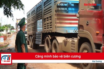 Căng mình bảo vệ biên cương