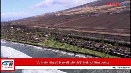 Vụ cháy rừng ở Hawaii gây thiệt hại nghiêm trọng