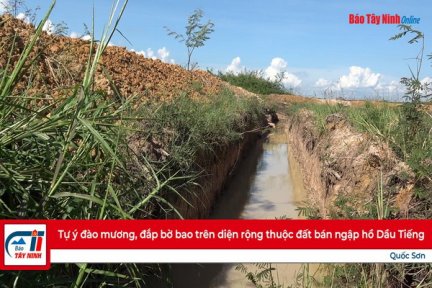 Tự ý đào mương, đắp bờ bao trên diện rộng thuộc đất bán ngập hồ Dầu Tiếng