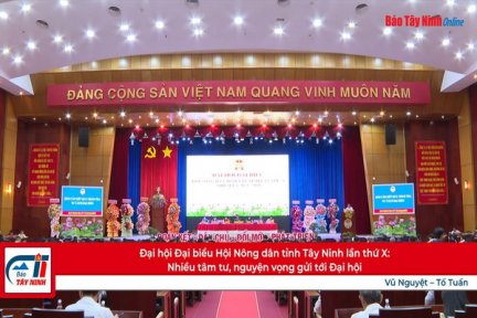 Đại hội Đại biểu Hội Nông dân tỉnh Tây Ninh lần thứ X: Nhiều tâm tư, nguyện vọng gửi tới Đại hội