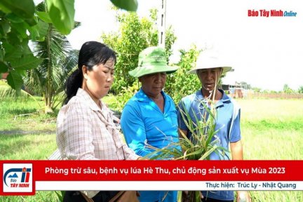 Phòng trừ sâu, bệnh vụ lúa Hè Thu, chủ động sản xuất vụ Mùa 2023