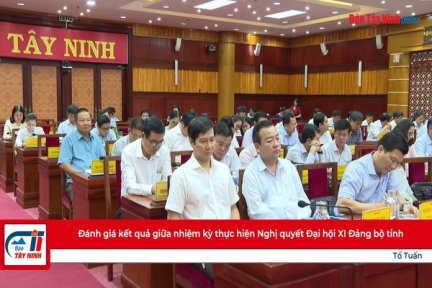 Đánh giá kết quả giữa nhiệm kỳ thực hiện Nghị quyết Đại hội XI Đảng bộ tỉnh