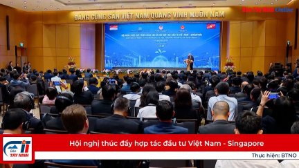 Hội nghị thúc đẩy hợp tác đầu tư Việt Nam - Singapore