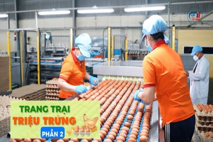 Trang trại triệu trứng-Phần 2