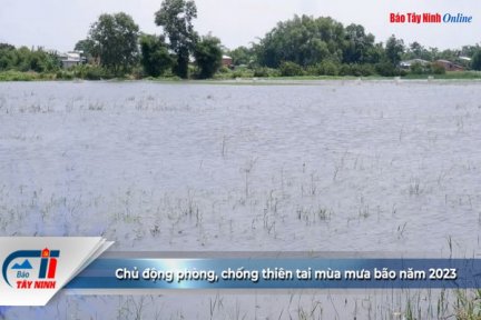 Chủ động phòng, chống thiên tai mùa mưa bão năm 2023