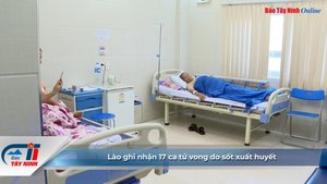 Lào ghi nhận 17 ca tử vong do sốt xuất huyết